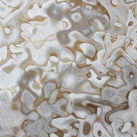 Champagne Wishes & Caviar Dreams #06