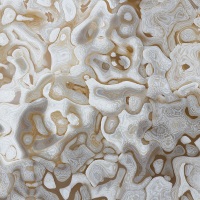 Champagne Wishes & Caviar Dreams #09