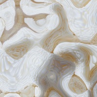 Champagne Wishes & Caviar Dreams #06 Detail