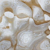 Champagne Wishes & Caviar Dreams #06 Detail