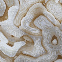 Champagne Wishes & Caviar Dreams #06 Detail