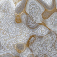 Champagne Wishes & Caviar Dreams #06 Detail