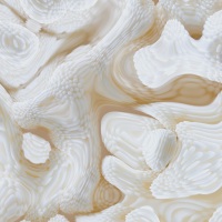 Champagne Wishes & Caviar Dreams #06 Detail<br /> Dye sublimation on aluminum 24” x 24” edition of 5, 2 AP