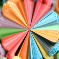 Starburst Flower 01