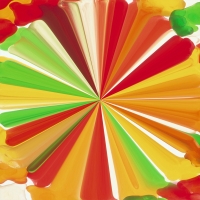 Starburst Flower 03