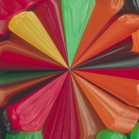 Starburst Flower 06